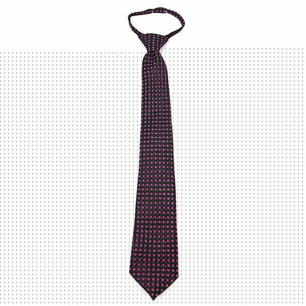 Boy's 17" Geometric Square Pink Zipper Tie - MPWZ1733 - Bundle Bus